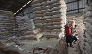 Kementerian Dalam Negeri mendesak pemerintah daerah yang terkena bencana pangan untuk segera menerapkan keadaan tanggap darurat